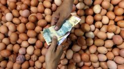 Harga Telur Ayam Tembus Rp30.000 per Kilogram