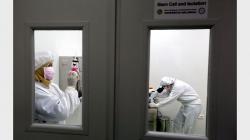 Pemerintah Anggarkan Rp9,3 Miliar untuk Kembangkan Stem Cell