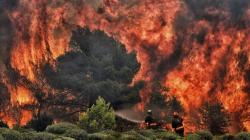 Foto-Foto Kebakaran Hutan di Yunani, 74 Orang Tewas 