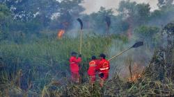 Upaya Pemadaman Kebakaran Lahan di Ogan Ilir Terkendala Pasokan Air