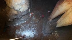 Gua yang Indah Ini Ditemukan di Bawah Tanah Milik Warga Desa Jadi