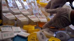 Ditangkap, Hasil Tes Urine Drummer dan 2 Kru J-Rocks Positif Narkoba