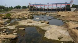 Musim Kemarau, Sungai Cisadane Mulai Mengering