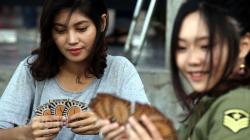 Perkenalkan Kopi Nusantara, Mahasiswa Ubaya Ciptakan Board Game Roast!