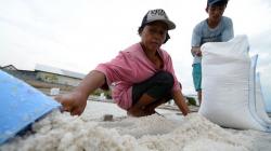 Petani Keluhkan Harga Garam Turun Drastis di Palu