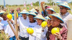 Menteri BUMN dan Dirut BRI Panen Buah Melon di Lamongan