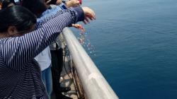 Operasi SAR Korban Lion Air JT 610 Kembali Diperpanjang 3 Hari