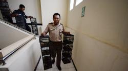 BBKP Surabaya Gagalkan Penyelundupan 481 Ekor Burung Dilindungi