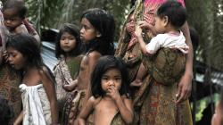 Potret Orang Rimba dari Pemburu Jadi Pengemis di Perkebunan Kelapa Sawit