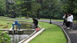 Presiden Jokowi Ajak Keluarga Jalan-Jalan di Kebun Raya Bogor
