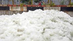 Muncul Busa Tebal Berbintik, Begini Penampakan Kali Item