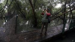 Memantau Spesies Burung di Hutan Lindung Angke Kapuk