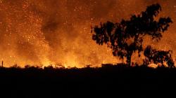 Kebakaran Lahan Gambut di Aceh Barat Sulit Dipadamkan