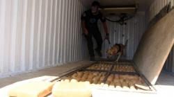 Truk Modifikasi Bawa 1,5 Ton Ganja Ditangkap BNN