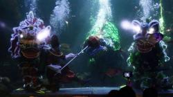 Meriahkan Imlek, Barongsai Beraksi di Kolam Sea World Ancol