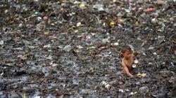 Tercemar, Pantai Muaro Lasak Padang Dipenuhi Sampah