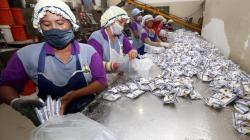 Kemenko Maritim Kunjungi Pabrik Penghasil 100 Ton Garam Lokal Gresik
