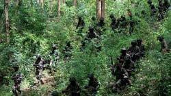 193 Prajurit Marinir Ikuti Pendidikan Komando Selama 77 Hari di Hutan