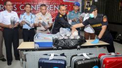 Bea Cukai Jawa Timur Gagalkan Penyelundupan 113.300 Ekor Benih Lobster