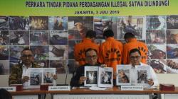 Bareskrim Polri Ungkap Kasus Perdagangan Satwa Dilindungi