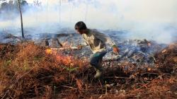 Kebakaran Hutan dan Lahan di Aceh Seluas 99 Hektare