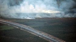 Kebakaran Lahan di Ogan Ilir Sumatera Selatan Semakin Meluas