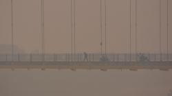 Kabut Asap akibat Kebakaran Hutan dan Lahan Ganggu Aktivitas Warga Pekanbaru