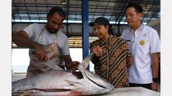 Lihat Pertumbuhan Bisnis Maluku Utara, Menteri BUMN Kunjungi SKPT Morotai