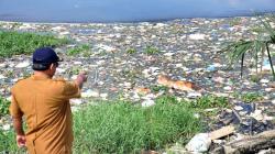 Penampakan Ratusan Bangkai Babi Dibuang ke Danau Siombak Medan