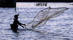 Akibat Gelombang Tinggi, Nelayan Aceh Beralih Menjala Udang