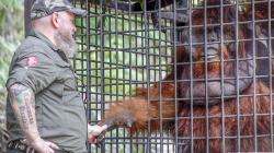 PSO Arsari, Pusat Suaka untuk Orangutan di Kalimantan Timur