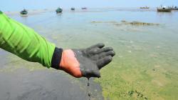 Pantai Pasir Putih Wates Tercemar Limbah, Air Berubah Warna Jadi Hitam