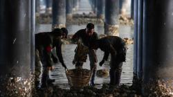 Peringati Hari Nusantara, Warga Surabaya Kerja Bakti di Jembatan Suramadu