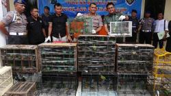 Ratusan Burung Cucak Hijau Diselundupkan Lewat Kapal Kargo