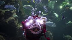 Aksi Barongsai di Akuarium Sea World Ancol Sambut Tahun Baru Imlek 2571