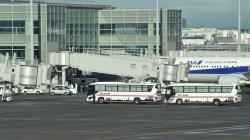 Foto-Foto Pemerintah Jepang Evakuasi Ratusan Warga dari Wuhan