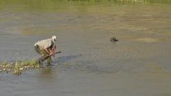 Operasi Penyelamatan Buaya Berkalung Ban Motor Belum Berhasil