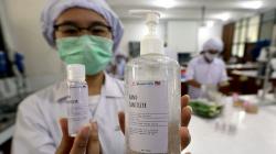 Mahasiswa Universitas Surabaya Buat Cairan Antiseptik dari Lidah Buaya