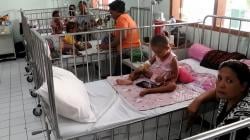 Jumlah Kasus DBD di Sikka NTT Bertambah Jadi 1.234
