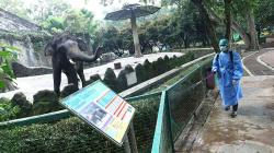 Kebun Binatang Ragunan Disemprot Cairan Disinfektan