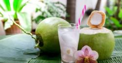 4 Minuman yang Paling Ampuh Cegah Dehidrasi, Air Kelapa Salah Satunya