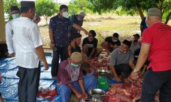 Pemkab Bangka Selatan Potong 9 Hewan Kurban, Dagingnya untuk ASN dan Warga Sekitar