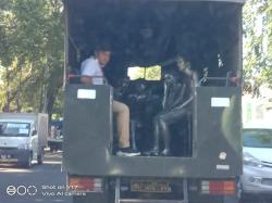 Vandalisme, 6 Manusia Silver Dijemput Polres Kota