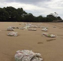 Sungguh Memilikuan! Ditemukan Sampah Popok Berserakan di Pantai Badur Sumenep