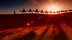 Sayang Jika Dilewatkan, Inilah Amalan-amalan di Hari Arafah