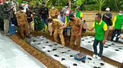 Petani Porang di Pangandaran Menjamur, Usaha Ini Dianggap Menjanjikan