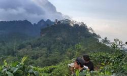 Heboh Langit di Perbukitan Menoreh Berpendar Hijau, Begini Penjelasan LAPAN