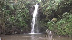 Cerita Mitos Curug Putri Palutungan Kuningan, Air Terjun Menyerupai Sosok Bidadari