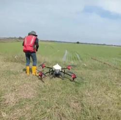 Hadapi Musim Tanam, Petani Mulai Gunakan Sky Drone