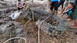 Mengejutkan, Warga Temukan Potongan Tangan Manusia Saat Tangkap Buaya Muara di Bangka